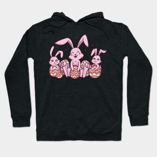 easter, rabbit, easter festival, easter present, easter bunny, easter eggs, april easter, look for easter eggs Hoodie